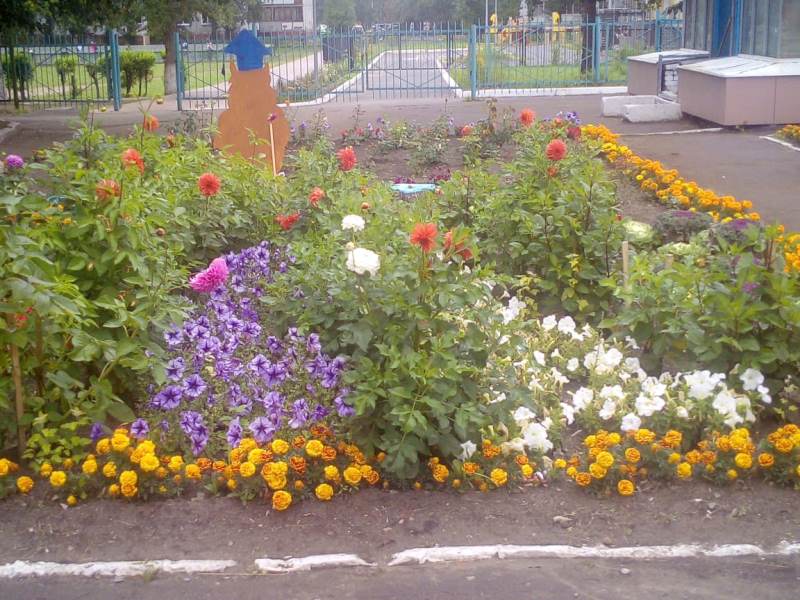 Приумножать и взращивать